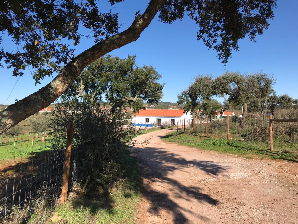 Herdade Da Maridona - Agroturismo Estremoz Exterior foto